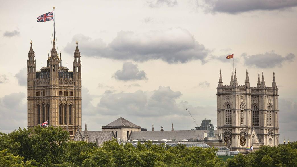Houses of Parliament from the IfG roof