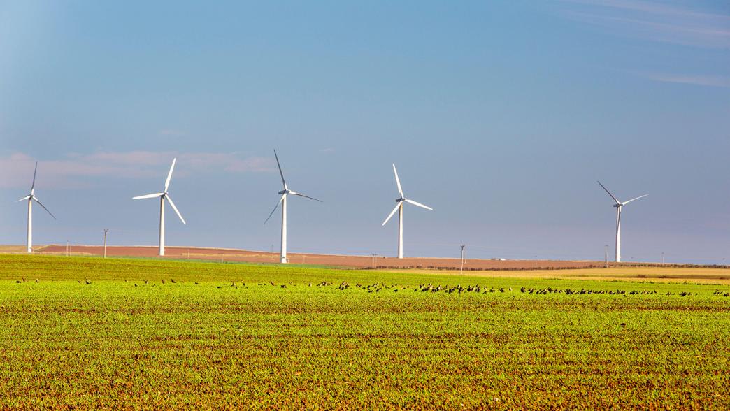 Wind turbines in the Humber, Yorkshire