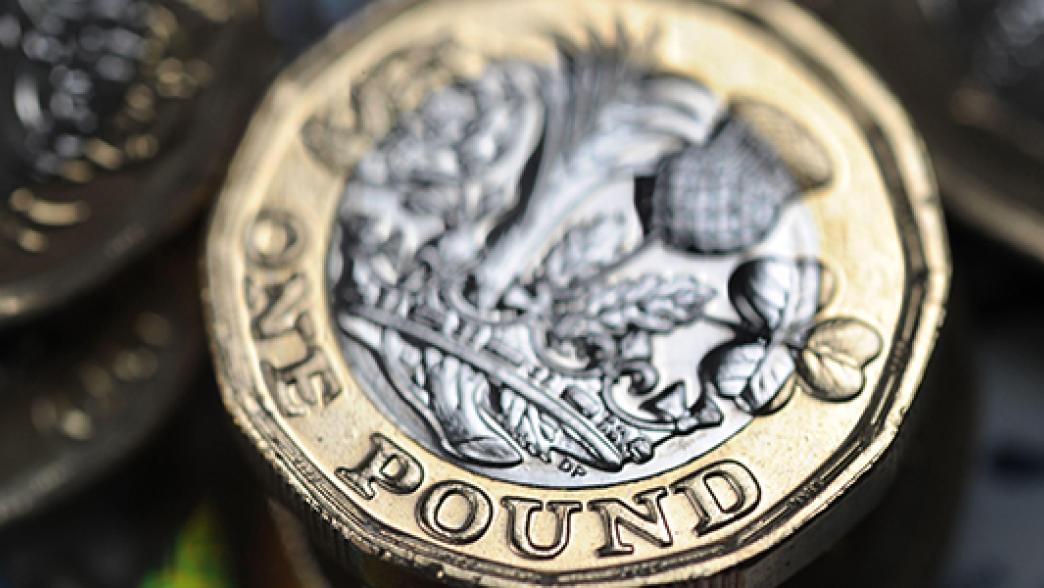Pound coin