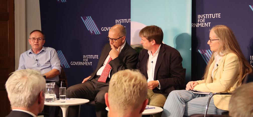 An IfG panel